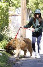KYLE RICHARDS Out for a Dog Walk in Los Angeles 10/05/2024