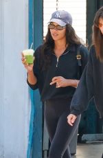 LAURA HARRIER Out for Lunch with a Friend in Los Feliz 10/14/2024
