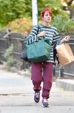 LILY ALLEN Out Shopping for Food in New York 10/28/2024