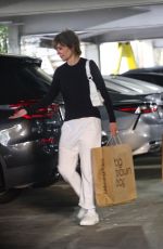LISA RINNA and Harry Hamlin at Westfield Mall in Sherman Oaks 10/11/2024