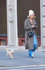 NAOMI WATTS Out for a Dog Walk in New York 10/25/2024