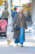 NAOMI WATTS Out for a Dog Walk in New York 10/25/2024