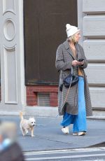 NAOMI WATTS Out for a Dog Walk in New York 10/25/2024