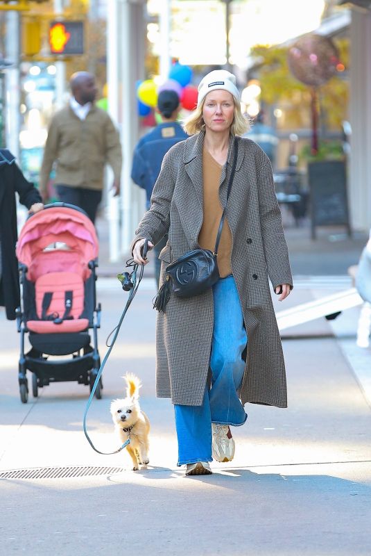 NAOMI WATTS Out for a Dog Walk in New York 10/25/2024