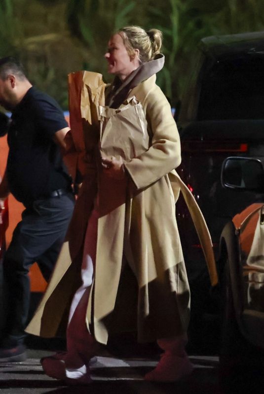 OLIVIA WILDE Out for Grocery Shopping in Los Angeles 10/12/2024