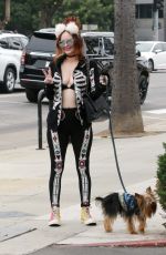 PHOEBE PRICE Out with Her Dog in Los Angeles 10/15/2024