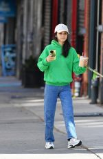 RACHEL ZEGLER Out for a Dog Walk in New York 10/05/2024