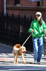 RACHEL ZEGLER Out for a Dog Walk in New York 10/05/2024