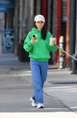 RACHEL ZEGLER Out for a Dog Walk in New York 10/05/2024