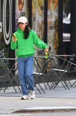 RACHEL ZEGLER Out for a Dog Walk in New York 10/05/2024