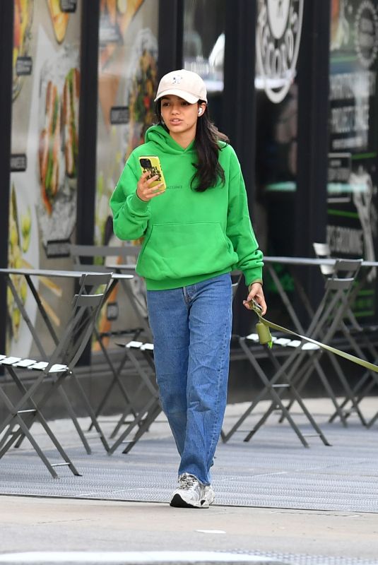RACHEL ZEGLER Out for a Dog Walk in New York 10/05/2024