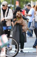 RACHEL ZEGLER Out for a Dog Walk in New York 10/12/2024