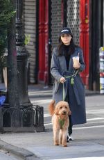 RACHEL ZEGLER Out for a Dog Walk in New York 10/12/2024
