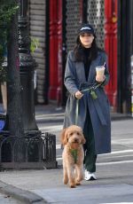 RACHEL ZEGLER Out for a Dog Walk in New York 10/12/2024