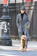 RACHEL ZEGLER Out for a Dog Walk in New York 10/12/2024