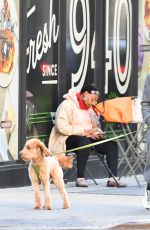 RACHEL ZEGLER Out for a Dog Walk in New York 10/12/2024