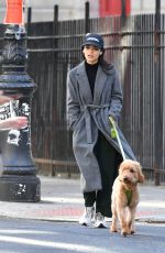 RACHEL ZEGLER Out for a Dog Walk in New York 10/12/2024
