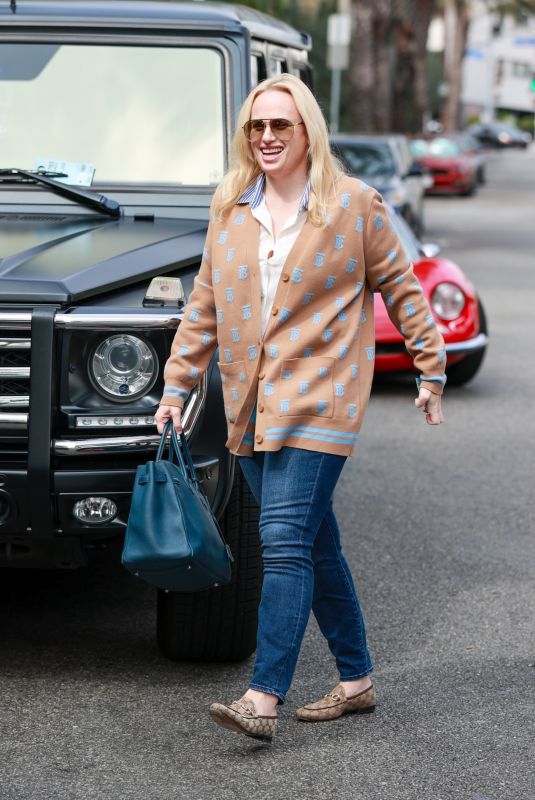 REBEL WILSON Out for Lunch at San Vicente Bungalows 10/17/2024
