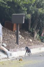 SARAH SILVERMAN and Rory Albanese Out for Morning Walk in Los Feliz 10/28/2024