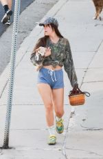 SCOUT WILLIS Out for a Smoothie with Her Dog in Los Angeles 10/21/224