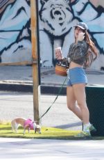 SCOUT WILLIS Out for a Smoothie with Her Dog in Los Angeles 10/21/224