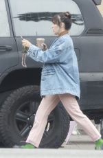 SCOUT WILLIS Out for Iced Coffee in Los Angeles 10/15/2024