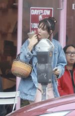 SCOUT WILLIS Out for Iced Coffee in Los Angeles 10/15/2024