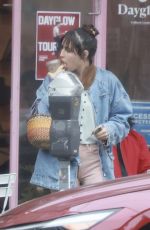 SCOUT WILLIS Out for Iced Coffee in Los Angeles 10/15/2024