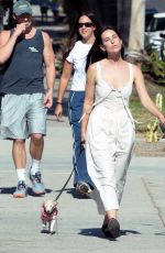 SCOUT WILLIS Out with a Friends and Their Dogs in Los Angeles 09/29/2024
