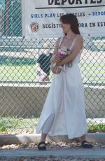 SCOUT WILLIS Out with a Friends and Their Dogs in Los Angeles 09/29/2024
