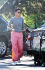TERI HATCHER Out Shopping at Beverly Glen in Los Angeles 10/23/2024