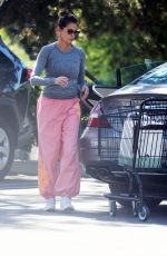 TERI HATCHER Out Shopping at Beverly Glen in Los Angeles 10/23/2024