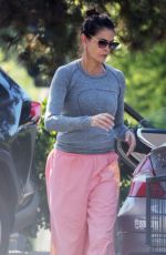 TERI HATCHER Out Shopping at Beverly Glen in Los Angeles 10/23/2024
