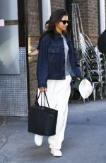 ZENDAYA Out with Her Brother Austin and dog Midnight in New York 10/26/2024
