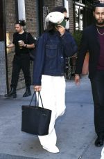 ZENDAYA Out with Her Brother Austin and dog Midnight in New York 10/26/2024