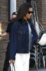 ZENDAYA Out with Her Brother Austin and dog Midnight in New York 10/26/2024