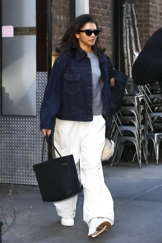 ZENDAYA Out with Her Brother Austin and dog Midnight in New York 10/26/2024