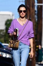 ALESSANDRA AMBROSIO Arrives at a School Event in Los Angeles 11/17/2024