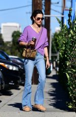 ALESSANDRA AMBROSIO Arrives at a School Event in Los Angeles 11/17/2024