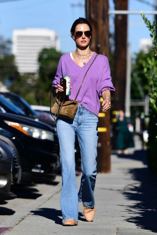 ALESSANDRA AMBROSIO Arrives at a School Event in Los Angeles 11/17/2024