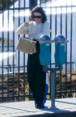 ALIA SHAWKAT Out for Lunch in Los Angeles 11/16/2024