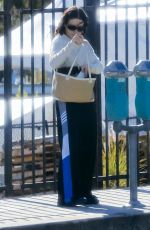 ALIA SHAWKAT Out for Lunch in Los Angeles 11/16/2024