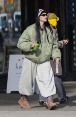 AMELIA HAMLIN and IRIS LAW Out for Matcha in New York City 11/17/2024