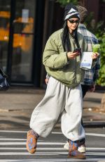 AMELIA HAMLIN and IRIS LAW Out for Matcha in New York City 11/17/2024