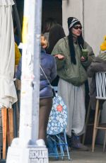 AMELIA HAMLIN and IRIS LAW Out for Matcha in New York City 11/17/2024