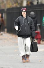 AMELIA HAMLIN Out for a Coffee in New York City 11/29/2024