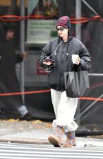 AMELIA HAMLIN Out for a Coffee in New York City 11/29/2024