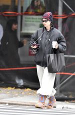 AMELIA HAMLIN Out for a Coffee in New York City 11/29/2024