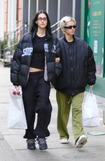 AMELIA HAMLIN Out Shopping in Manhattan