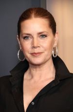 AMY ADAMS at 15th Annual Governors Awards at Dolby Theatre in Hollywood 11/17/2024